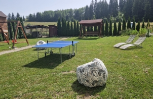 Szolgáltatások